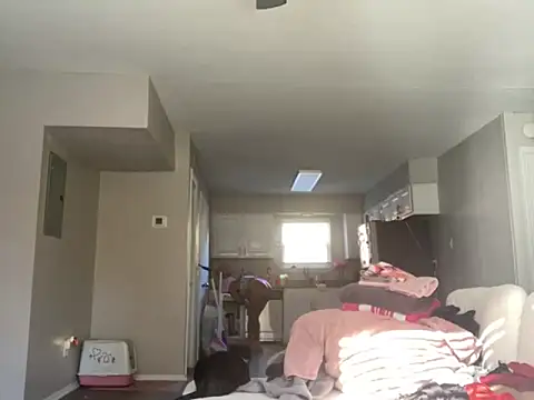 bunnypillow online show from 11/14/25, 03:00