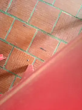 Brenda Berck  online show from 09/12/25, 02:06