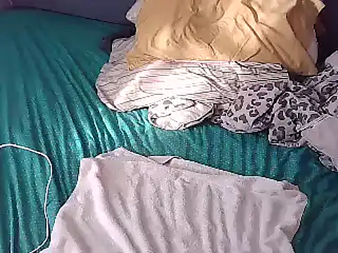 Snapshot of k-dong chatting on 12/13/24, 02:27 k-dong online show from 12/13/24, 02:27