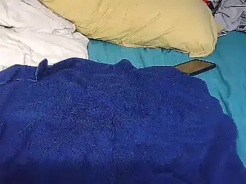 Snapshot of k-dong chatting on 01/21/25, 12:25 k-dong online show from 01/21/25, 12:25