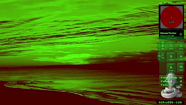 Snapshot of mskuddo chatting on 03/01/25, 02:48 mskuddo online show from 03/01/25, 02:48