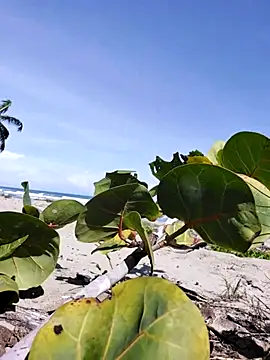 Snapshot of Luna-Natural chatting on 12/14/25, 04:23 Luna-Natural online show from 12/14/25, 04:23