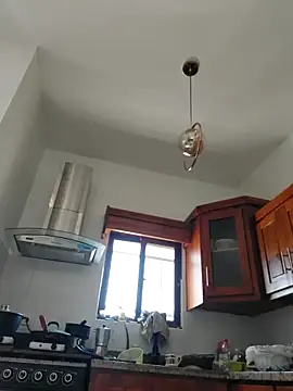 Snapshot of Luna-Natural chatting on 02/19/26, 08:38 Luna-Natural online show from 02/19/26, 08:38