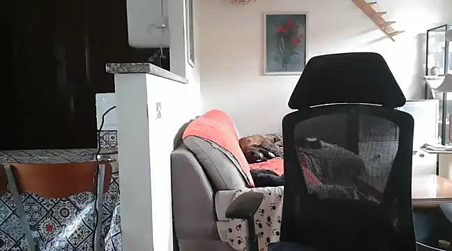 Snapshot of simona60 chatting on 02/23/25, 02:14 simona60 online show from 02/23/25, 02:14