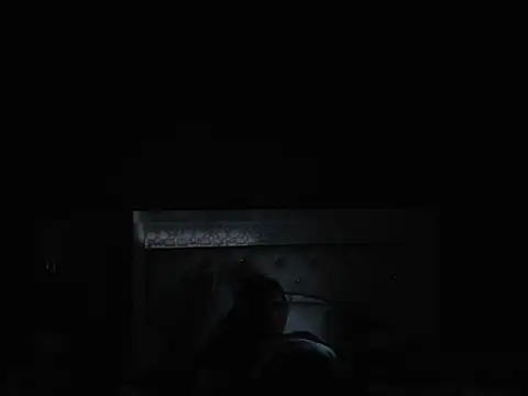 Asianholes online show from 01/16/25, 09:40