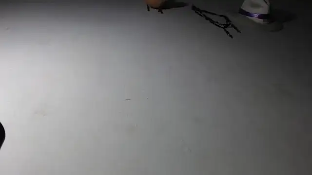 adrixxx38 online show from 01/17/26, 11:19