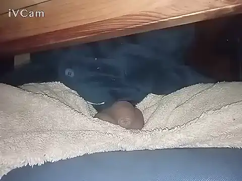 Bigdick666cm online show from 03/06/25, 03:13