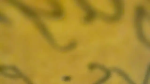 Snapshot of fmodel chatting on 01/03/25, 03:44 fmodel online show from 01/03/25, 03:44