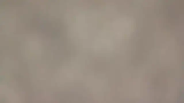 Snapshot of fmodel chatting on 09/11/25, 01:44 fmodel online show from 09/11/25, 01:44