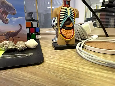 Snapshot of fmodel chatting on 09/24/25, 11:24 fmodel online show from 09/24/25, 11:24