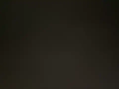 fmodel online show from 04/15/26, 08:10