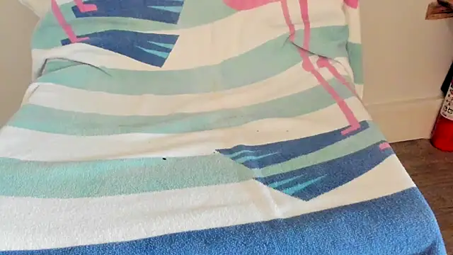 Snapshot of bigpru chatting on 10/11/25, 01:20 bigpru online show from 10/11/25, 01:20