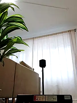 mister-dwt online show from 02/26/25, 06:47