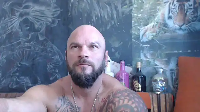 viking 30 online show from 09/16/25, 06:47