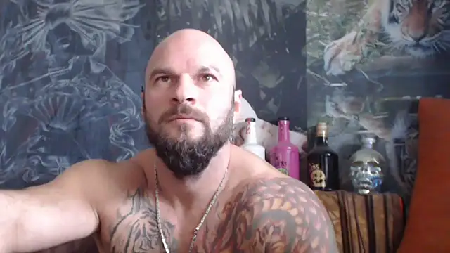 viking 30 online show from 10/13/25, 07:08