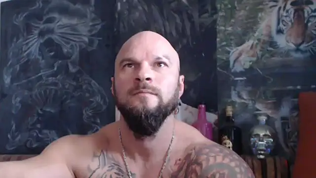 viking 30 online show from 11/09/25, 08:01