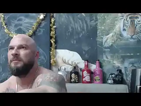 viking 30 online show from 04/07/26, 06:19