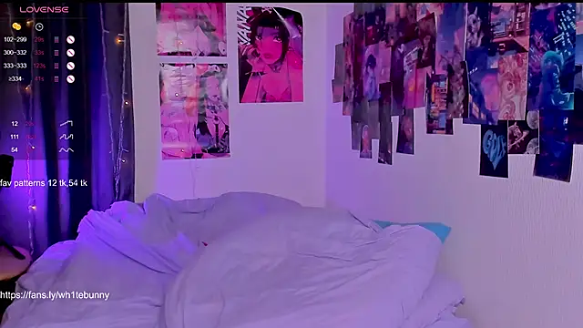 HotaruTomo online show from 02/15/25, 01:10