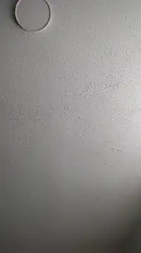 Snapshot of 6lue6a6y69 chatting on 02/03/25, 12:58 6lue6a6y69 online show from 02/03/25, 12:58