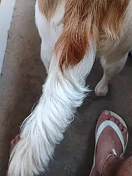 Snapshot of yourboysexy19 chatting on 12/04/25, 09:01 yourboysexy19 online show from 12/04/25, 09:01