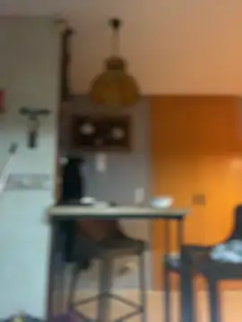 camelia3 online show from 02/25/26, 12:42