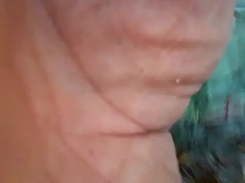 Payaso53 online show from 04/11/26, 02:38