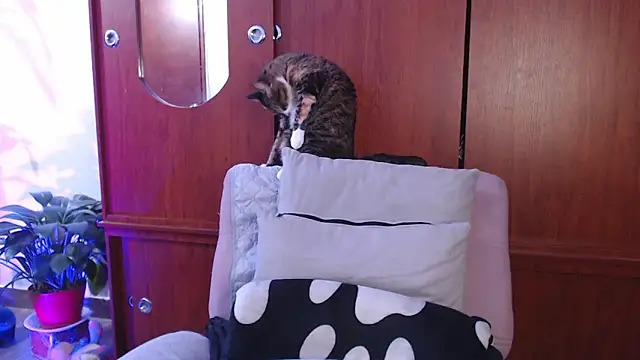 Raventh  online show from 02/13/26, 01:07