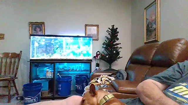 1964peterbilt1 online show from 12/30/24, 01:48