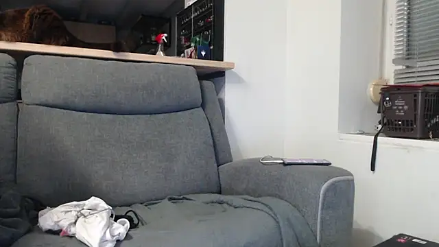 missthon0 online show from 01/18/26, 04:11