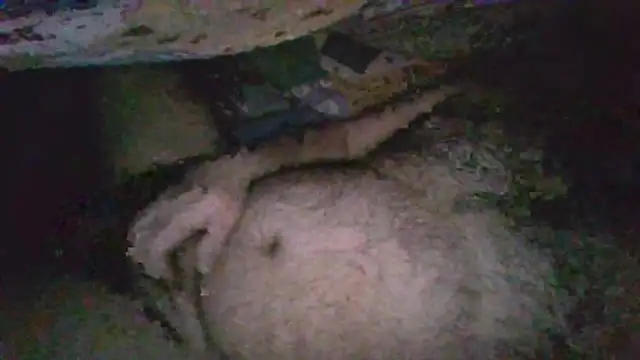 gerilom8787 online show from 02/04/26, 02:45