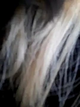 Dirtyfeelin online show from 12/14/25, 11:59