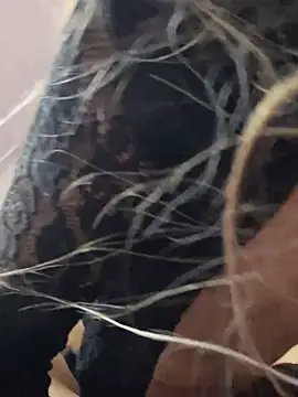 Littlebunny21 online show from 12/15/24, 10:26