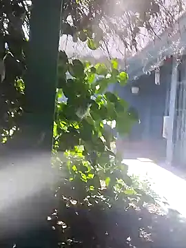 sofy alone online show from 01/02/25, 05:39