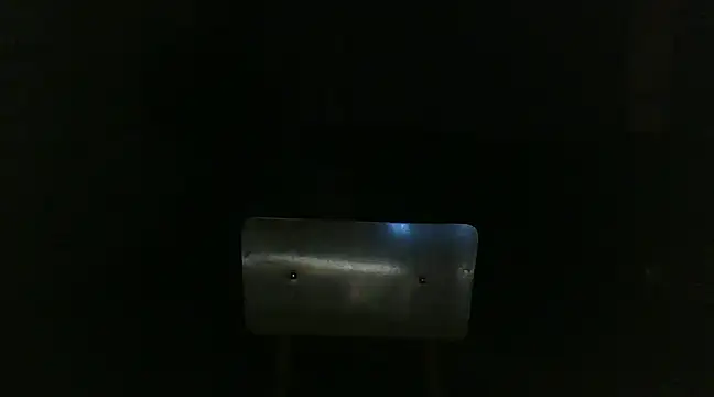 venenus online show from 01/29/25, 01:05