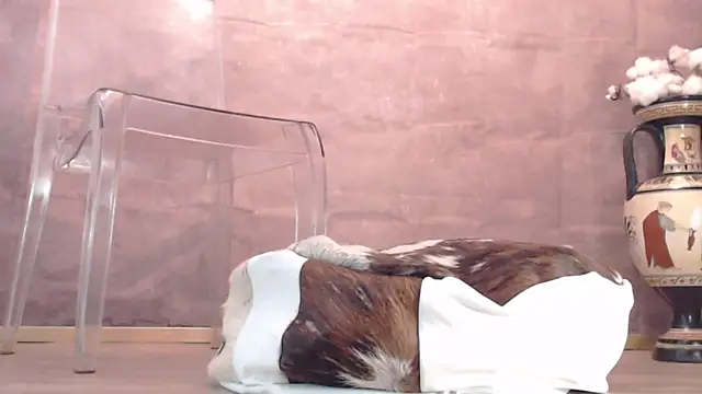 Lady-Nymph online show from 10/26/25, 05:19