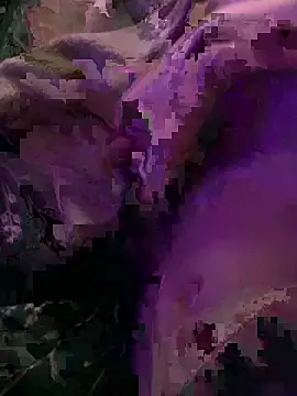 Snapshot of K100x chatting on 12/04/25, 08:28 K100x online show from 12/04/25, 08:28