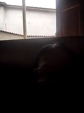 catdool online show from 01/17/26, 02:33