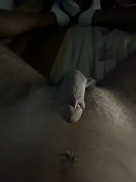 mamoubz online show from 11/03/25, 11:04