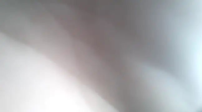 Snapshot of Dalton2288 chatting on 01/21/25, 07:50 Dalton2288 online show from 01/21/25, 07:50