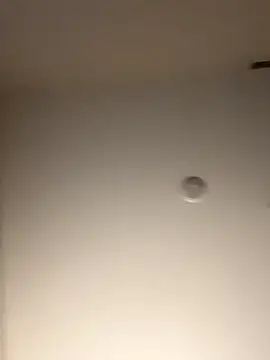 DancingLemonade online show from 11/16/25, 11:49