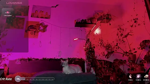 olivecum online show from 01/20/25, 04:01