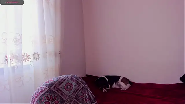 Snapshot of aluna_0310 chatting on 12/20/24, 08:45 aluna 0310 online show from 12/20/24, 08:45