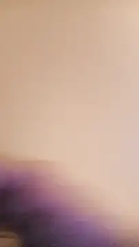 BunnyandClydeDk online show from 01/31/25, 06:47