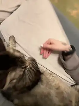 GraceCandy online show from 02/17/25, 10:14