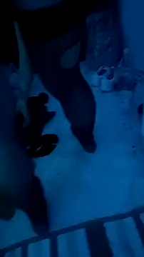 Snapshot of Misspadrona88 chatting on 12/13/25, 10:37 Misspadrona88 online show from 12/13/25, 10:37