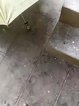 rameshmry1 online show from 12/12/24, 08:14