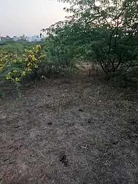 rameshmry1 online show from 03/05/26, 12:34