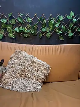 Snapshot of uma_patna000 chatting on 01/12/25, 09:51 uma patna000 online show from 01/12/25, 09:51