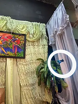 uma patna000 online show from 02/04/25, 07:51