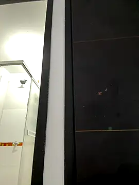 Snapshot of AiledSC chatting on 11/15/25, 06:04 AiledSC online show from 11/15/25, 06:04